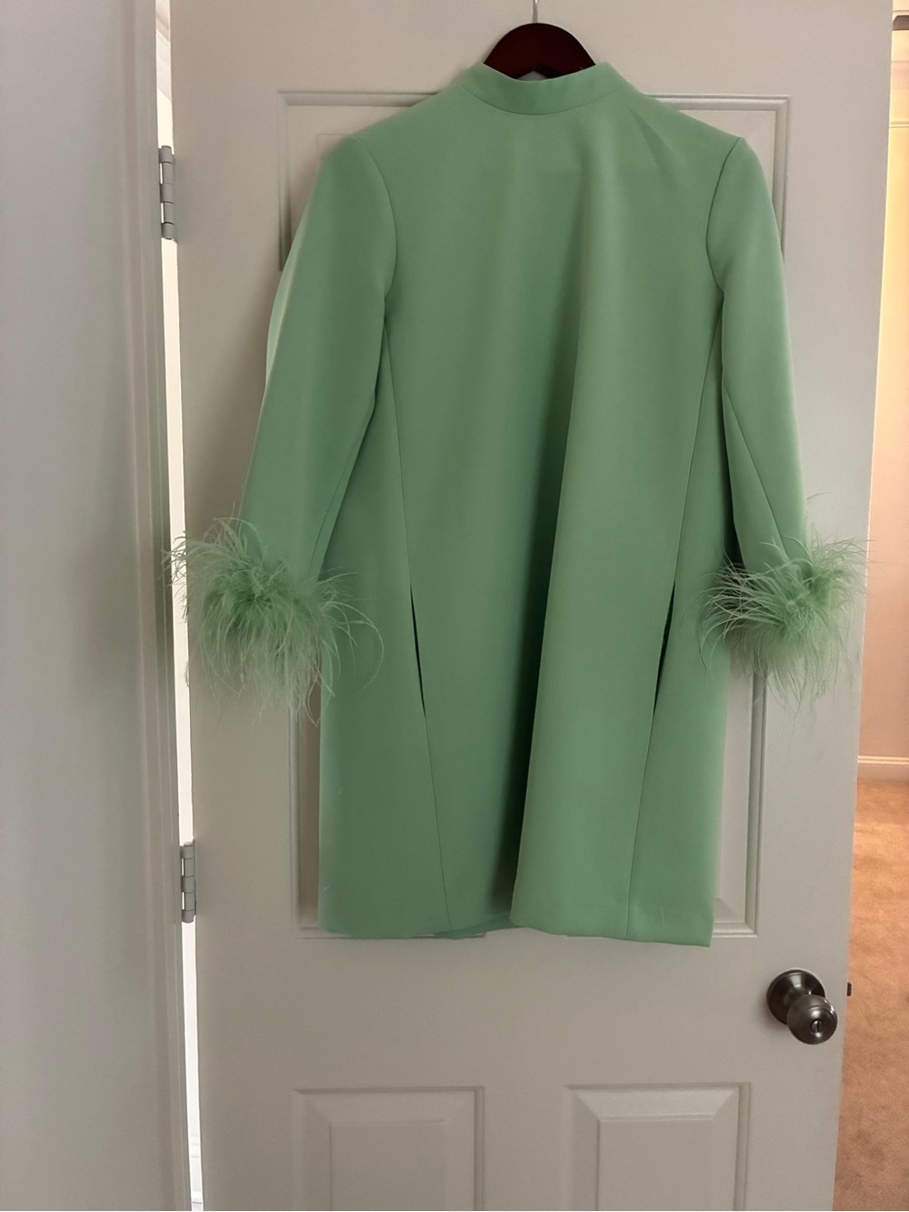 Tuckernuck Mint Green Long-Sleeve Feather Cuff Dress